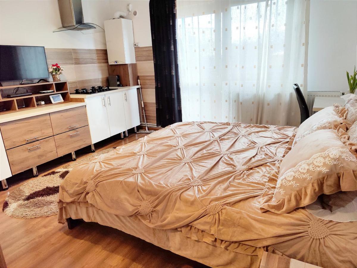 Casa De Vis Apartment Brasov Luaran gambar